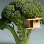 casa_broccolo