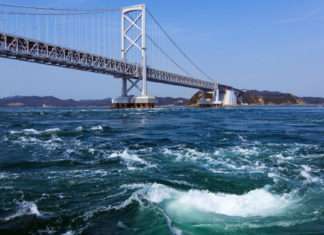 Giappone: I sapori di Tokushima