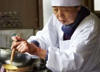 Le Ricette della Signora Toku