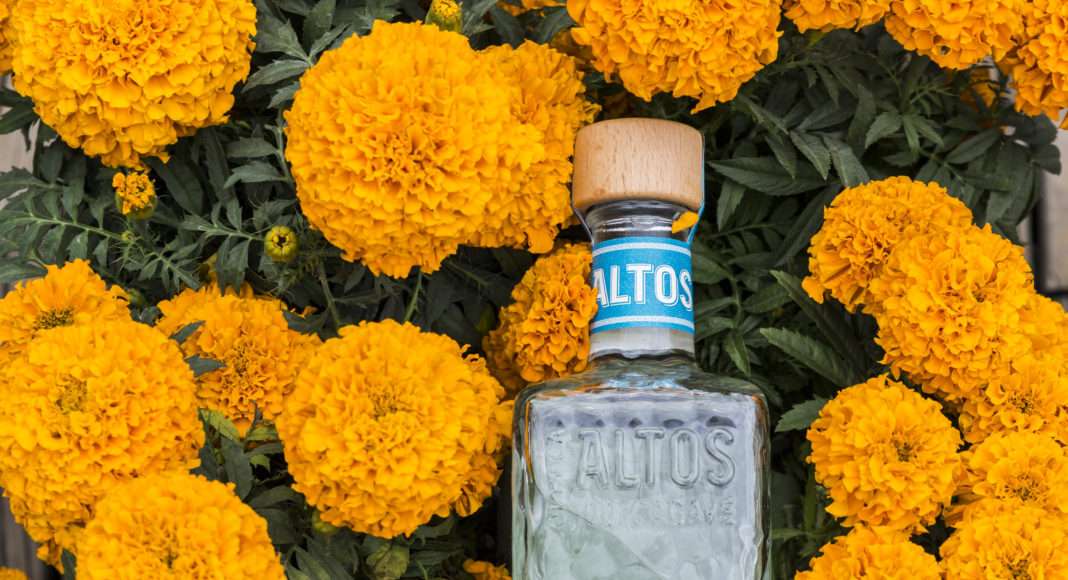 Altos-Plata-Bottle-Yellow-Mexican-Flower-