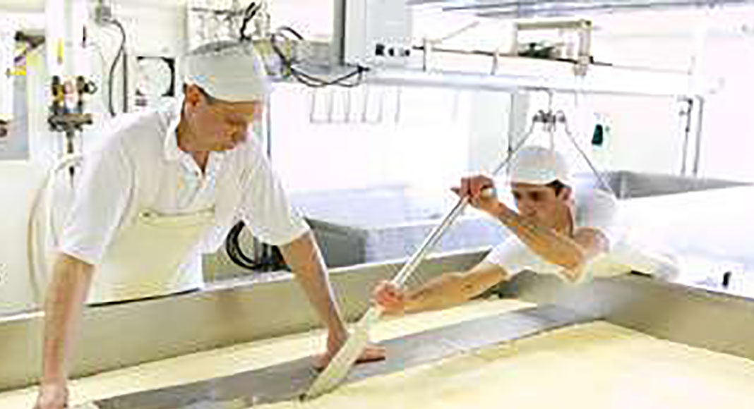 mercato_free_from_evidenza