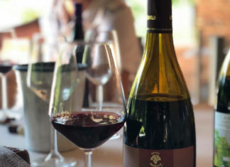 MARCHE WINE EXPERIENCE: Verdicchio di Matelica