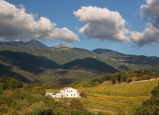 LAZIO WINE EXPERIENCE: i vini del reatino