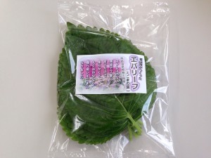 egoma