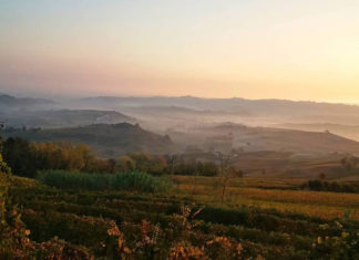 PIEMONTE WINE EXPERIENCE: i vini delle Langhe