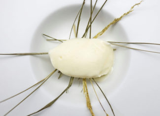 ENZO CRIVELLA. Il gelato tra verità e finzione