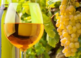 VIGNAIOLI NATURALI 2019 a Roma
