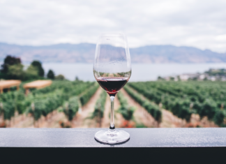 VINOWAY Wine Selection 2019 in Salento