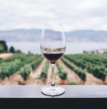 VINOWAY Wine Selection 2019 in Salento