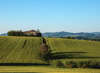 ROMAGNA: Rimini e gli altri borghi. Tra storia, arte, eventi e cibo