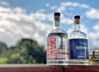 GIN CONFIDENTIAL: il Semanterion