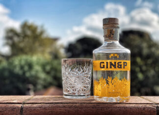 GIN CONFIDENTIAL: il Gin&P da Torino