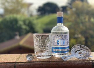 GIN CONFIDENTIAL: Il Gin Tempesta (della LIDL)