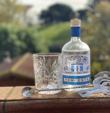 GIN CONFIDENTIAL: Il Gin Tempesta (della LIDL)