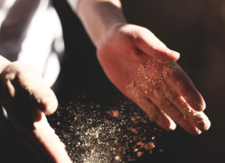 Torna PRIMO PIATTO DEI CAMPI: la creatività di giovani chef a confronto