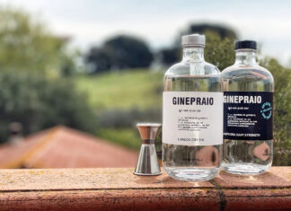 GIN CONFIDENTIAL: il Ginepraio di Enzo Brini
