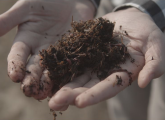 Dal lombrico al bambù (e non solo): ecco il modello circolare a km 0 by ALMA ITALIA