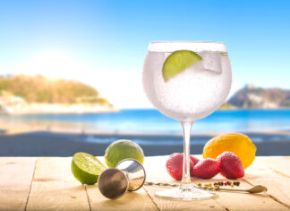 GIN CONFIDENTIAL: l’estate del Gin (riassuntone)