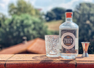 GIN CONFIDENTIAL: TestaCoda Gin