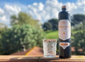 GIN CONFIDENTIAL: Il Cross Keys Gin dalla Lettonia