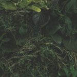 cross-keys-gin-cocktail-cover