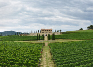 BRUNELLO CUCINELLI: il vino diventa libro e salva il mondo