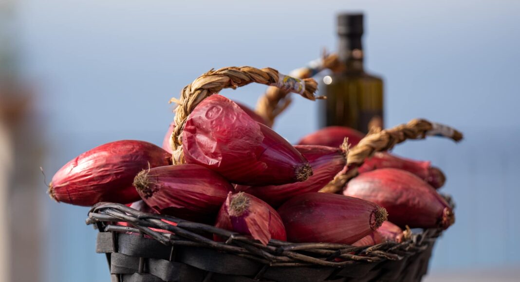 381655679_781707090630212_4665832293538981969_n