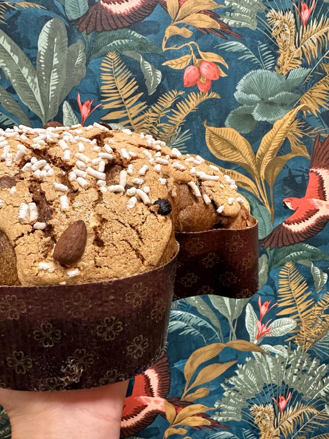 2.Colomba-Fermenta