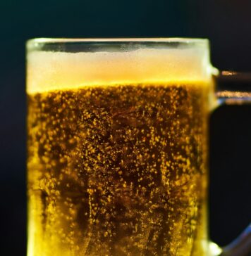 Le migliori BIRRE d’Italia secondo Slow Food: ecco la guida 2025