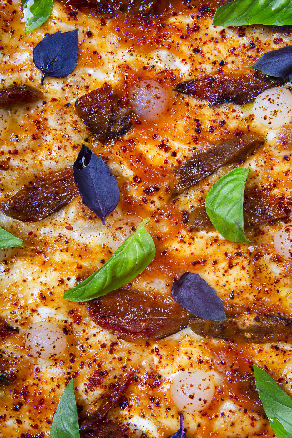 ho-bruciato-la-margherita-e