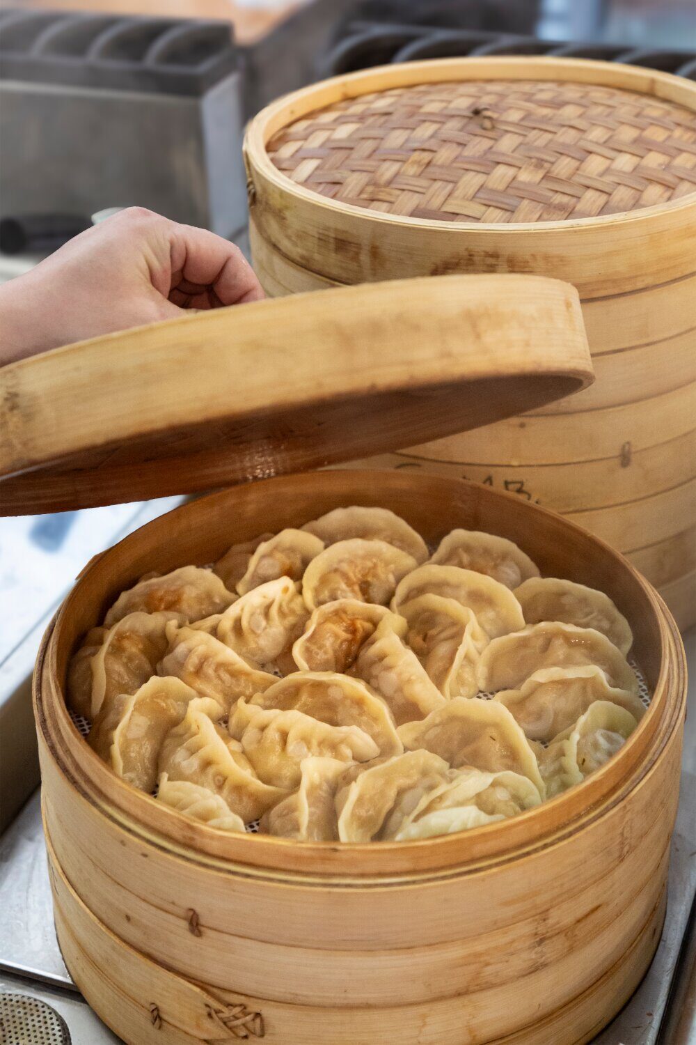 gyoza_mcr