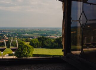 Alla scoperta dei vini dei COLLI BERICI