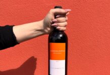 I vini della TENUTA DELLO SCOMPIGLIO