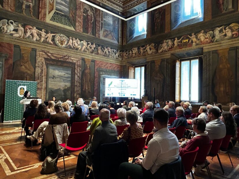 SALA 3 (1)