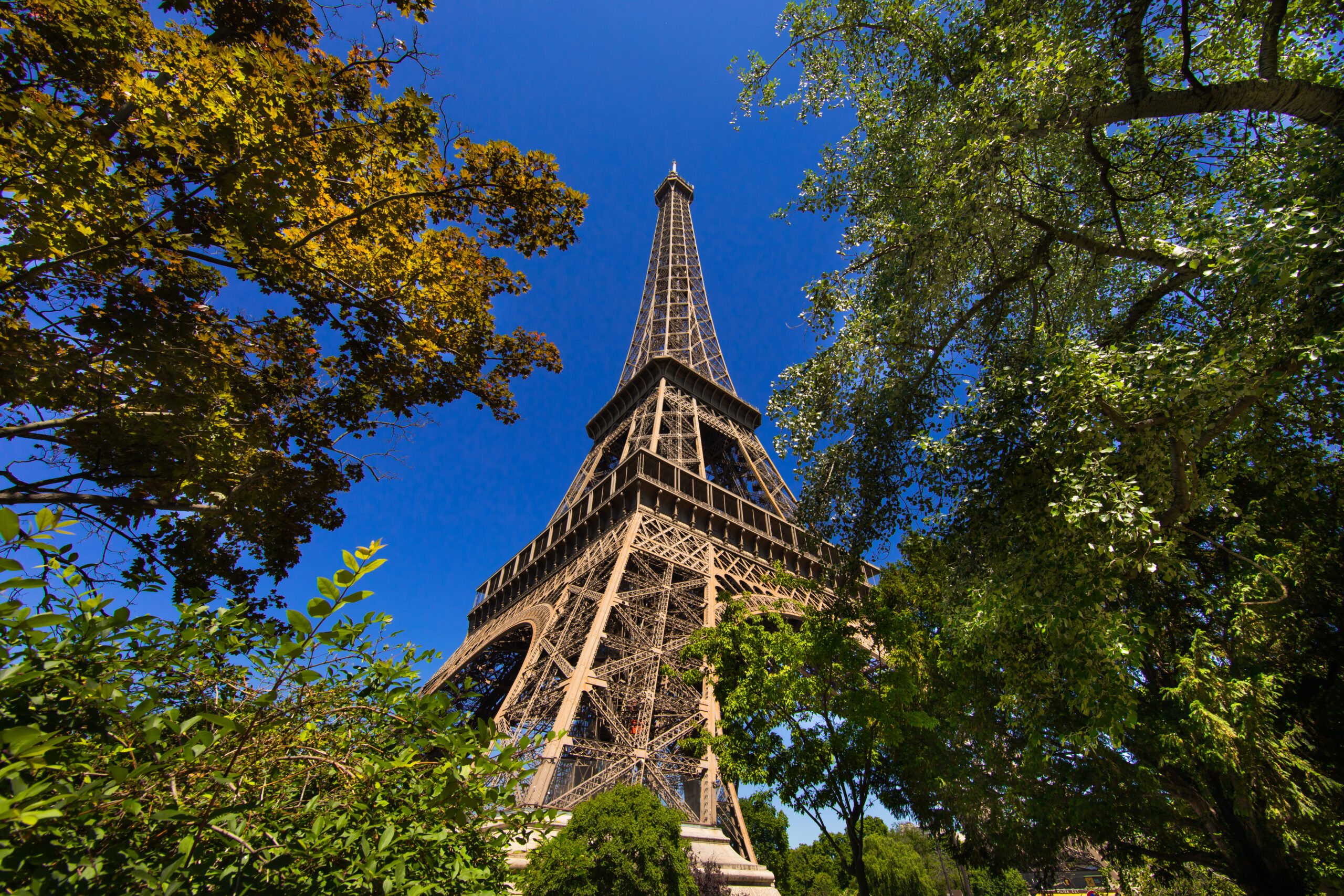 PARIS, la ville en rose