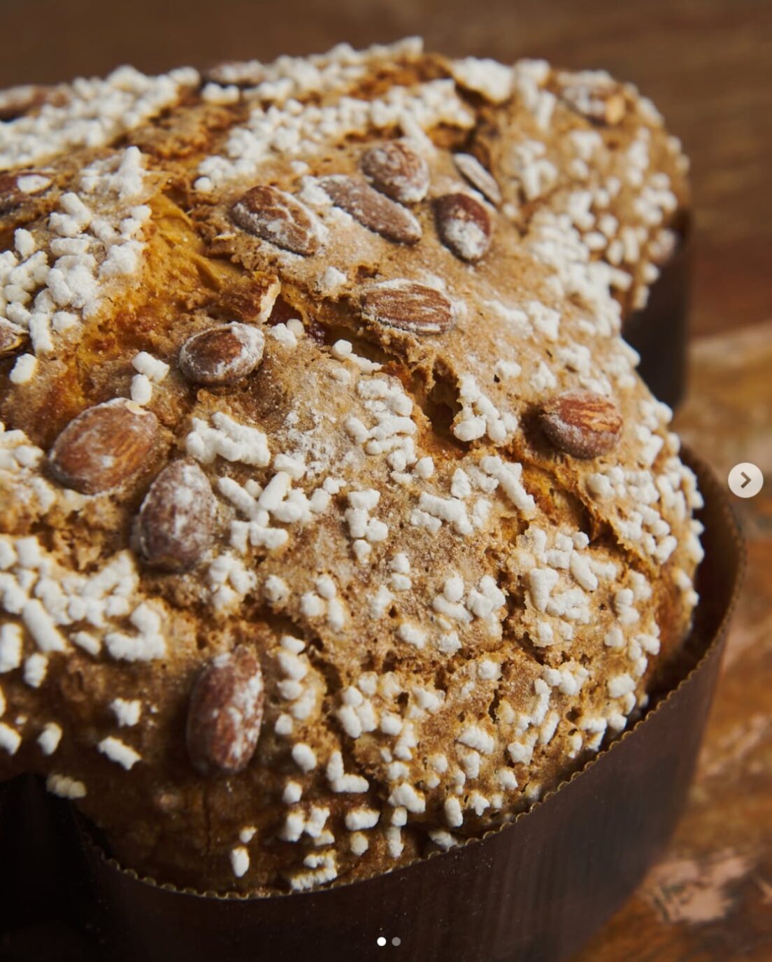 2.Colomba-Bonci