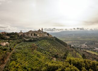 La valorizzazione della cultura olivicola dell’UMBRIA attraverso una cena “OLEOCENTRICA”