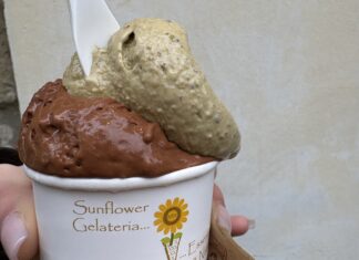 GELATERIE degli STUDENTI UNINT: la recensione di Sunflower ad Arezzo di Chiara Leonardi