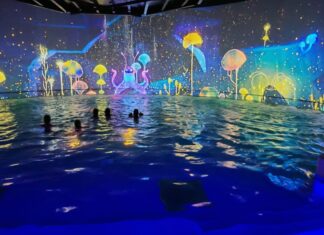 Nel Grand Poitiers, il futuro è realtÃ