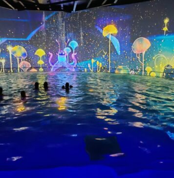 Nel Grand Poitiers, il futuro è realtÃ